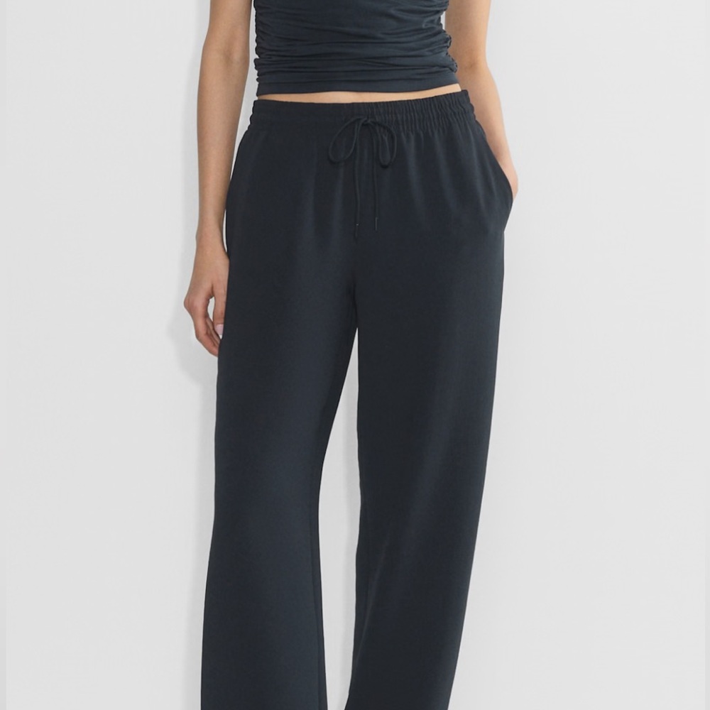 Aritzia thesis pant dark blue large